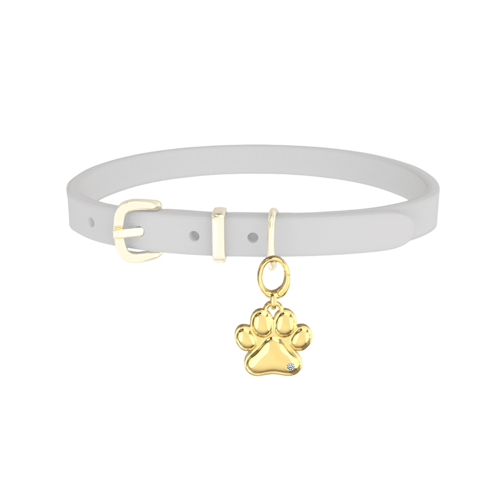 Personalized Pet Charm with Custom Greeting Card