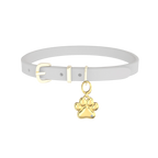 Personalized Pet Charm with Custom Greeting Card